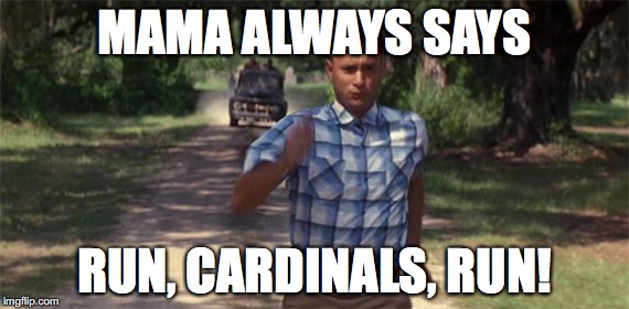 Forrest Gump | MAMA ALWAYS SAYS; RUN, CARDINALS, RUN! | image tagged in forrest gump | made w/ Imgflip meme maker