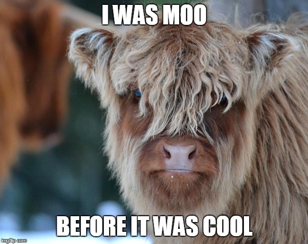 I WAS MOO BEFORE IT WAS COOL | made w/ Imgflip meme maker