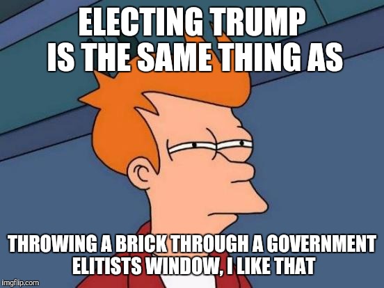 Futurama Fry | ELECTING TRUMP IS THE SAME THING AS; THROWING A BRICK THROUGH A GOVERNMENT ELITISTS WINDOW, I LIKE THAT | image tagged in memes,futurama fry | made w/ Imgflip meme maker