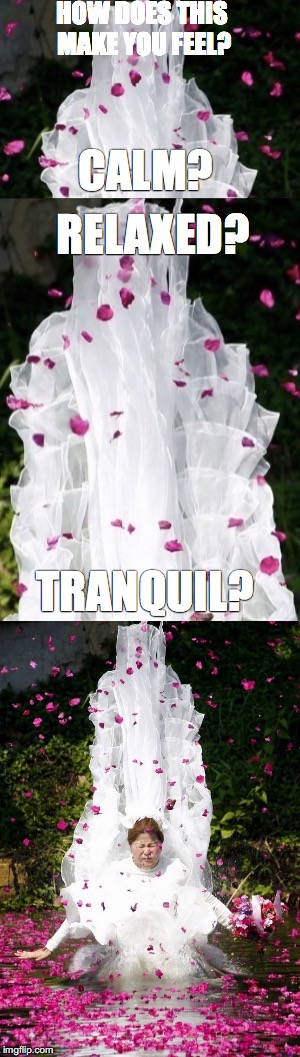 ... | HOW DOES THIS MAKE YOU FEEL? CALM? RELAXED? TRANQUIL? | image tagged in relaxed,calm,tranquil,fail,wedding | made w/ Imgflip meme maker