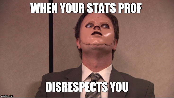 Dwight Dummy Face | WHEN YOUR STATS PROF; DISRESPECTS YOU | image tagged in dwight dummy face | made w/ Imgflip meme maker