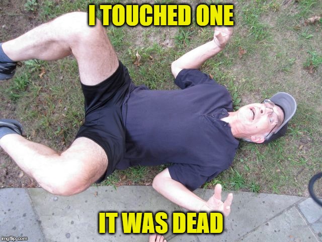 I TOUCHED ONE IT WAS DEAD | made w/ Imgflip meme maker