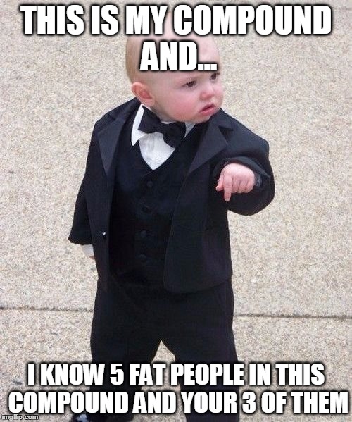 Baby Godfather | THIS IS MY COMPOUND AND... I KNOW 5 FAT PEOPLE IN THIS COMPOUND AND YOUR 3 OF THEM | image tagged in memes,baby godfather | made w/ Imgflip meme maker