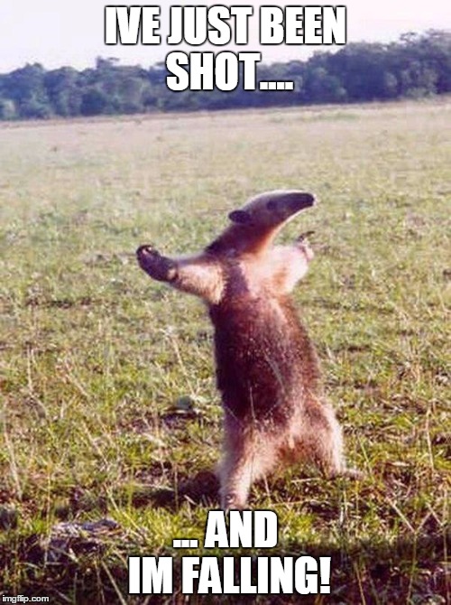 Fight me anteater | IVE JUST BEEN SHOT.... ... AND IM FALLING! | image tagged in fight me anteater | made w/ Imgflip meme maker