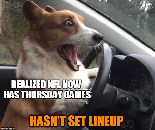dog driving | REALIZED NFL NOW HAS THURSDAY GAMES; HASN'T SET LINEUP | image tagged in dog driving | made w/ Imgflip meme maker