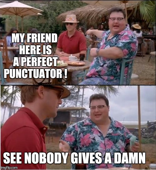 See Nobody Cares | MY FRIEND HERE IS A PERFECT PUNCTUATOR ! SEE NOBODY GIVES A DAMN | image tagged in memes,see nobody cares | made w/ Imgflip meme maker