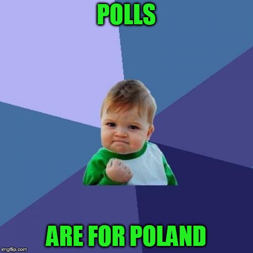 Success Kid Meme | POLLS ARE FOR POLAND | image tagged in memes,success kid | made w/ Imgflip meme maker