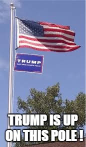 TRUMP IS UP ON THIS POLE ! | made w/ Imgflip meme maker