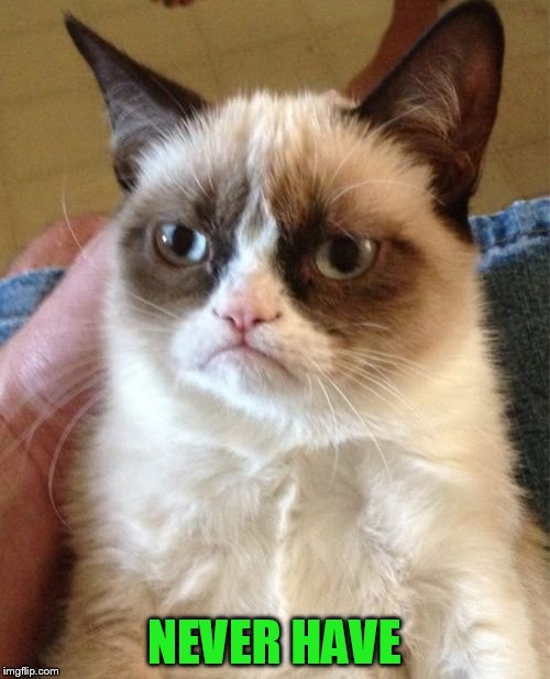 Grumpy Cat Meme | NEVER HAVE | image tagged in memes,grumpy cat | made w/ Imgflip meme maker