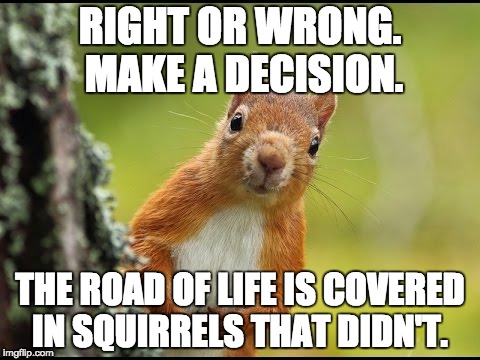 Are you going to be a squirrel? | RIGHT OR WRONG.  MAKE A DECISION. THE ROAD OF LIFE IS COVERED IN SQUIRRELS THAT DIDN'T. | image tagged in lol,squirrel | made w/ Imgflip meme maker