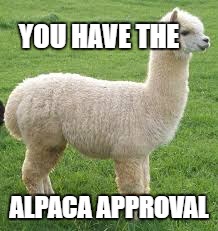 YOU HAVE THE ALPACA APPROVAL | made w/ Imgflip meme maker