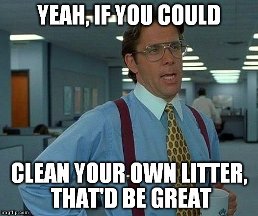 That Would Be Great Meme | YEAH, IF YOU COULD CLEAN YOUR OWN LITTER, THAT'D BE GREAT | image tagged in memes,that would be great | made w/ Imgflip meme maker