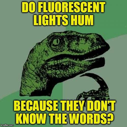 Philosoraptor | DO FLUORESCENT LIGHTS HUM; BECAUSE THEY DON’T KNOW THE WORDS? | image tagged in memes,philosoraptor | made w/ Imgflip meme maker