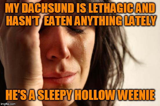 First World Problems Meme | MY DACHSUND IS LETHAGIC AND HASN'T  EATEN ANYTHING LATELY; HE'S A SLEEPY HOLLOW WEENIE | image tagged in memes,first world problems | made w/ Imgflip meme maker