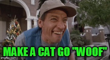 MAKE A CAT GO "WOOF" | made w/ Imgflip meme maker