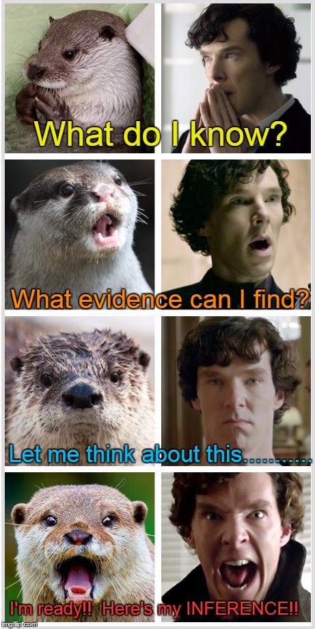 Sherlock - Otters Who Look Like Benedict Cumberbatch | What do I know? What evidence can I find? Let me think about this........... I'm ready!!  Here's my INFERENCE!! | image tagged in sherlock - otters who look like benedict cumberbatch | made w/ Imgflip meme maker