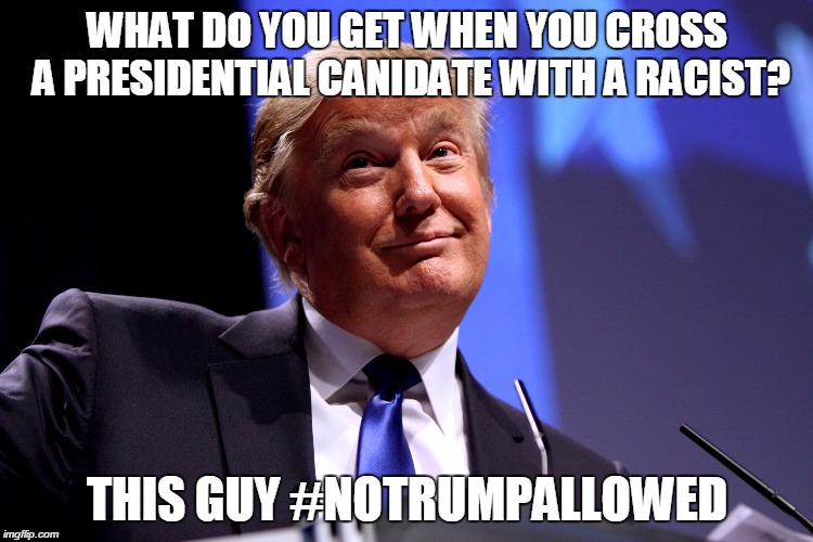 Down with trump | WHAT DO YOU GET WHEN YOU CROSS A PRESIDENTIAL CANIDATE WITH A RACIST? THIS GUY #NOTRUMPALLOWED | image tagged in donald trump | made w/ Imgflip meme maker