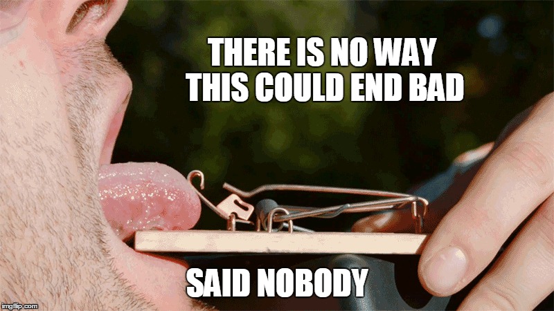Bad Idea | THERE IS NO WAY THIS COULD END BAD; SAID NOBODY | image tagged in funny,ouch,funny memes | made w/ Imgflip meme maker