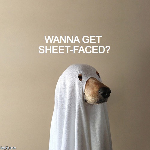 Candy makes me thirsty. | WANNA GET SHEET-FACED? | image tagged in janey mack meme,funny,flirt,halloween,wanna get sheet-faced,dog in ghost costume | made w/ Imgflip meme maker
