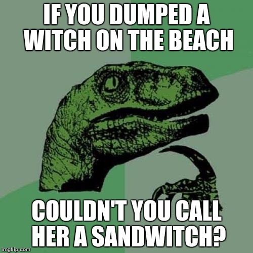 Hope this Wasn't Taken | IF YOU DUMPED A WITCH ON THE BEACH; COULDN'T YOU CALL HER A SANDWITCH? | image tagged in memes,philosoraptor | made w/ Imgflip meme maker