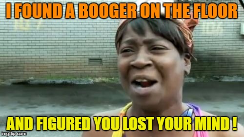 Ain't Nobody Got Time For That Meme | I FOUND A BOOGER ON THE FLOOR AND FIGURED YOU LOST YOUR MIND ! | image tagged in memes,aint nobody got time for that | made w/ Imgflip meme maker