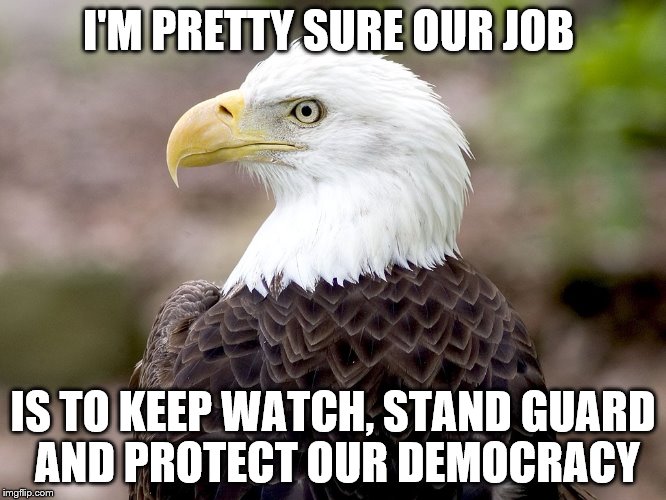 I'M PRETTY SURE OUR JOB IS TO KEEP WATCH, STAND GUARD AND PROTECT OUR DEMOCRACY | made w/ Imgflip meme maker