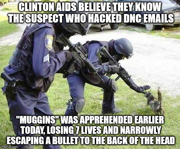 Cops Arrest Cat | CLINTON AIDS BELIEVE THEY KNOW THE SUSPECT WHO HACKED DNC EMAILS; "MUGGINS" WAS APPREHENDED EARLIER TODAY, LOSING 7 LIVES AND NARROWLY ESCAPING A BULLET TO THE BACK OF THE HEAD | image tagged in cops arrest cat | made w/ Imgflip meme maker