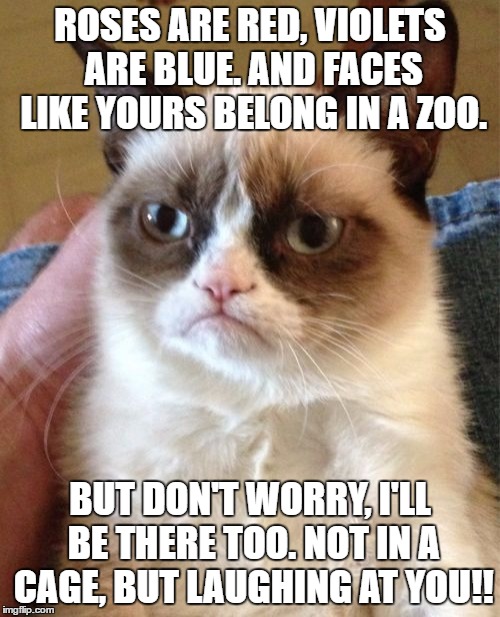 Grumpy Cat's Poem |  ROSES ARE RED, VIOLETS ARE BLUE. AND FACES LIKE YOURS BELONG IN A ZOO. BUT DON'T WORRY, I'LL BE THERE TOO. NOT IN A CAGE, BUT LAUGHING AT YOU!! | image tagged in memes,grumpy cat | made w/ Imgflip meme maker