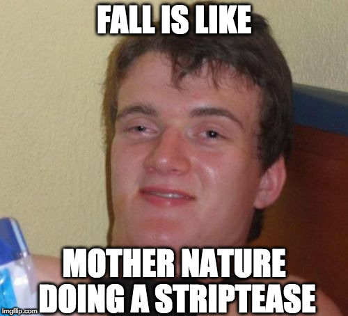 10 Guy may be a poet... or not... | FALL IS LIKE; MOTHER NATURE DOING A STRIPTEASE | image tagged in memes,10 guy | made w/ Imgflip meme maker