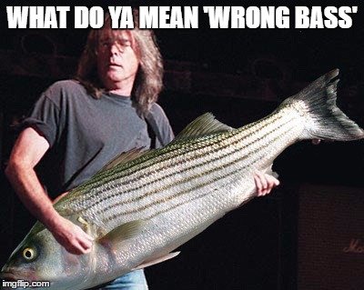 WHAT DO YA MEAN 'WRONG BASS' | made w/ Imgflip meme maker