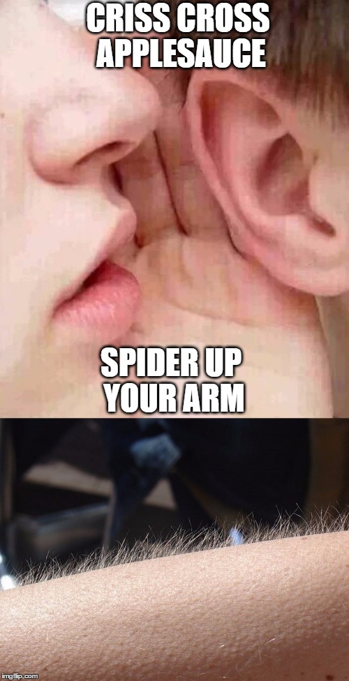 Now You've Got The Shivers - Was It Dumb Memes Week Or Dumb Memes Weekend? :P | CRISS CROSS APPLESAUCE; SPIDER UP YOUR ARM | image tagged in whisper in ear goosebumps,dumb meme week | made w/ Imgflip meme maker