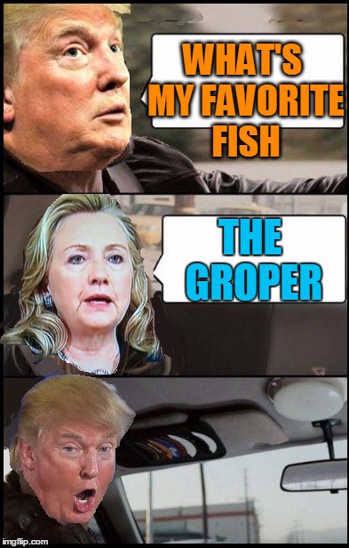 WHAT'S MY FAVORITE FISH THE GROPER | image tagged in donald cab driving | made w/ Imgflip meme maker