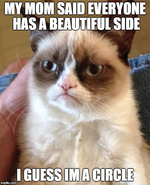 Grumpy Cat | MY MOM SAID EVERYONE HAS A BEAUTIFUL SIDE; I GUESS IM A CIRCLE | image tagged in memes,grumpy cat | made w/ Imgflip meme maker