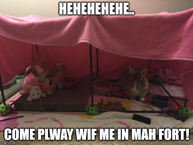 Fort | HEHEHEHEHE.. COME PLWAY WIF ME IN MAH FORT! | image tagged in memes | made w/ Imgflip meme maker