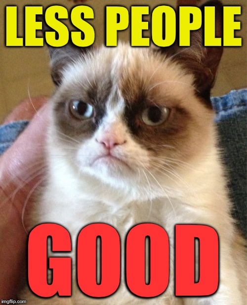 Grumpy Cat Meme | LESS PEOPLE GOOD | image tagged in memes,grumpy cat | made w/ Imgflip meme maker