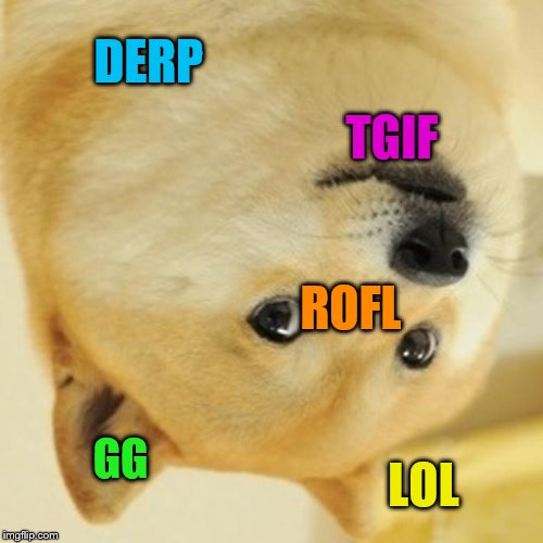 Doge Meme | DERP; TGIF; ROFL; GG; LOL | image tagged in memes,doge | made w/ Imgflip meme maker