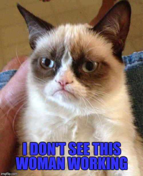 Grumpy Cat Meme | I DON'T SEE THIS WOMAN WORKING | image tagged in memes,grumpy cat | made w/ Imgflip meme maker