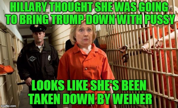 Hillary Jail | HILLARY THOUGHT SHE WAS GOING TO BRING TRUMP DOWN WITH PUSSY; LOOKS LIKE SHE'S BEEN TAKEN DOWN BY WEINER | image tagged in hillary jail | made w/ Imgflip meme maker