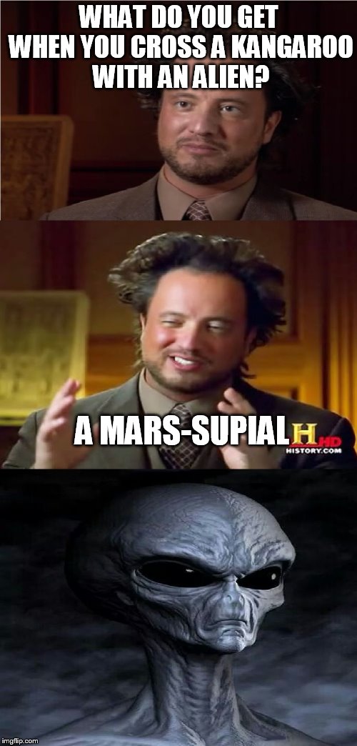 Alien is displeased | WHAT DO YOU GET WHEN YOU CROSS A KANGAROO WITH AN ALIEN? A MARS-SUPIAL | image tagged in bad pun aliens guy | made w/ Imgflip meme maker