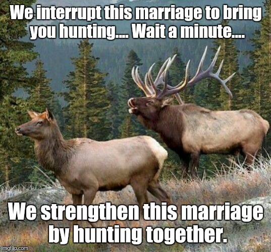 Hunting | We interrupt this marriage to bring you hunting.... Wait a minute.... We strengthen this marriage by hunting together. | image tagged in hunting season,hunting | made w/ Imgflip meme maker