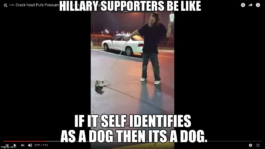 hillary supporters | HILLARY SUPPORTERS BE LIKE; IF IT SELF IDENTIFIES AS A DOG THEN ITS A DOG. | image tagged in hillary,election | made w/ Imgflip meme maker