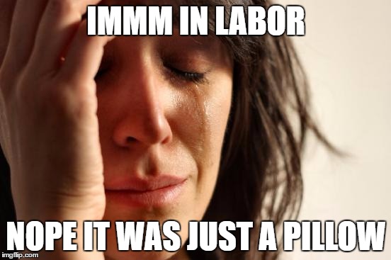 First World Problems Meme | IMMM IN LABOR; NOPE IT WAS JUST A PILLOW | image tagged in memes,first world problems | made w/ Imgflip meme maker