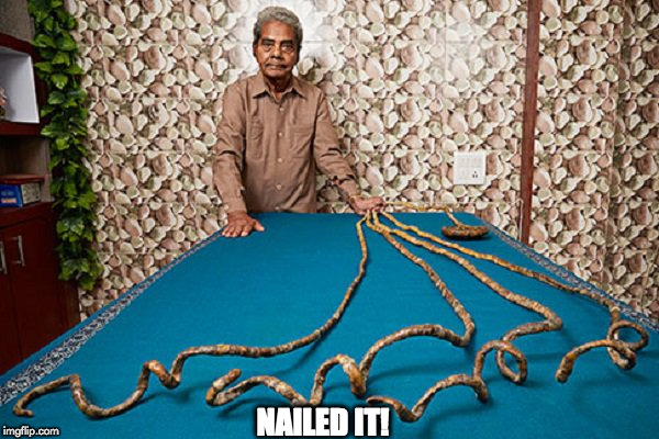 NAILED IT! | image tagged in nailed it | made w/ Imgflip meme maker