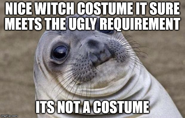 Awkward Moment Sealion | NICE WITCH COSTUME IT SURE MEETS THE UGLY REQUIREMENT; ITS NOT A COSTUME | image tagged in memes,awkward moment sealion | made w/ Imgflip meme maker