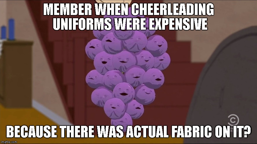Member Berries Meme | MEMBER WHEN CHEERLEADING UNIFORMS WERE EXPENSIVE; BECAUSE THERE WAS ACTUAL FABRIC ON IT? | image tagged in memes,member berries | made w/ Imgflip meme maker