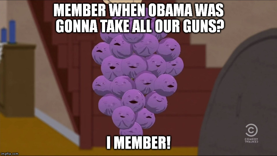 Member Berries | MEMBER WHEN OBAMA WAS GONNA TAKE ALL OUR GUNS? I MEMBER! | image tagged in memes,member berries | made w/ Imgflip meme maker