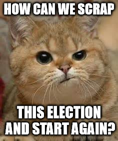 perplexed cat | HOW CAN WE SCRAP; THIS ELECTION AND START AGAIN? | image tagged in perplexed cat | made w/ Imgflip meme maker