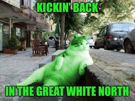 RayCat relaxing | KICKIN' BACK IN THE GREAT WHITE NORTH | image tagged in raycat relaxing | made w/ Imgflip meme maker