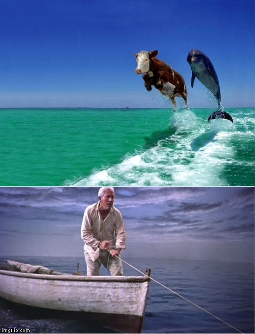 Old Man and The Sea Blank Meme Template