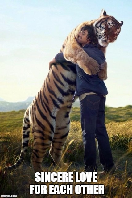 SINCERE LOVE FOR EACH OTHER | image tagged in tiger | made w/ Imgflip meme maker